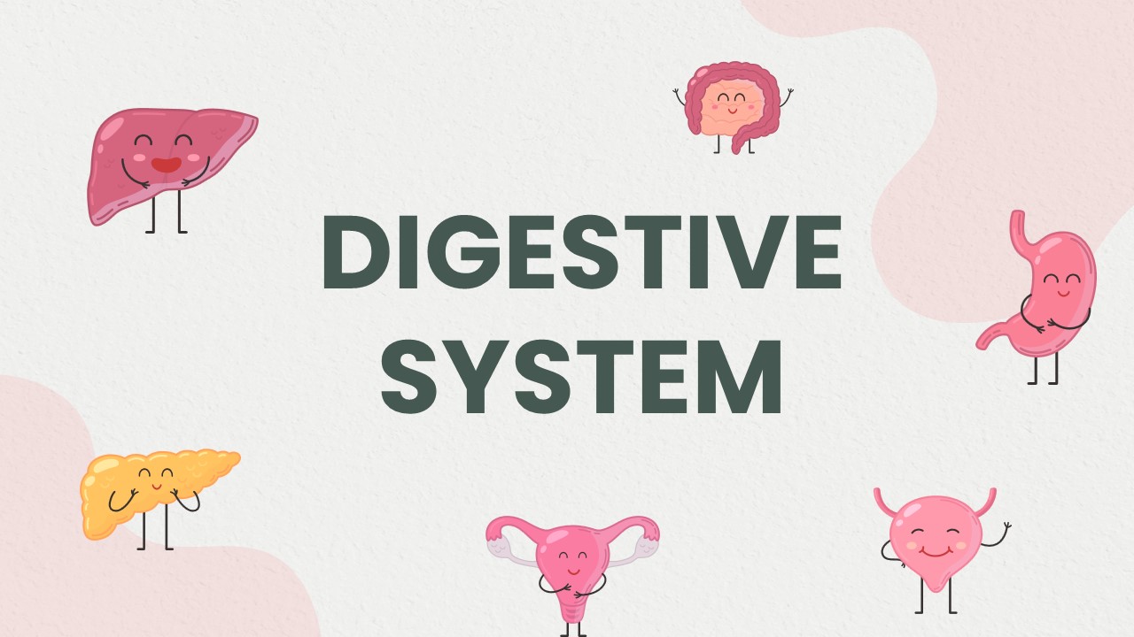 Free Digestive System Powerpoint Presentation Templates And Google