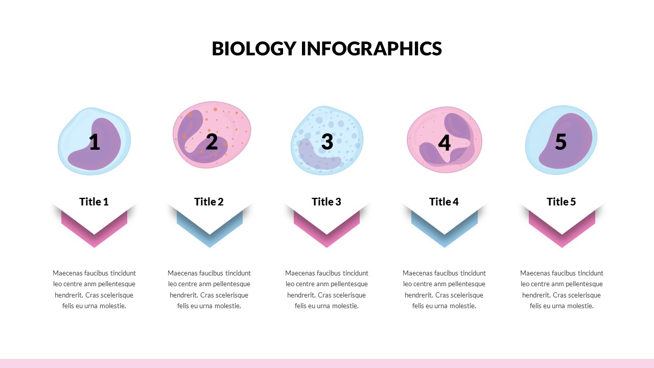 Biology Infographics Templates for Presentation