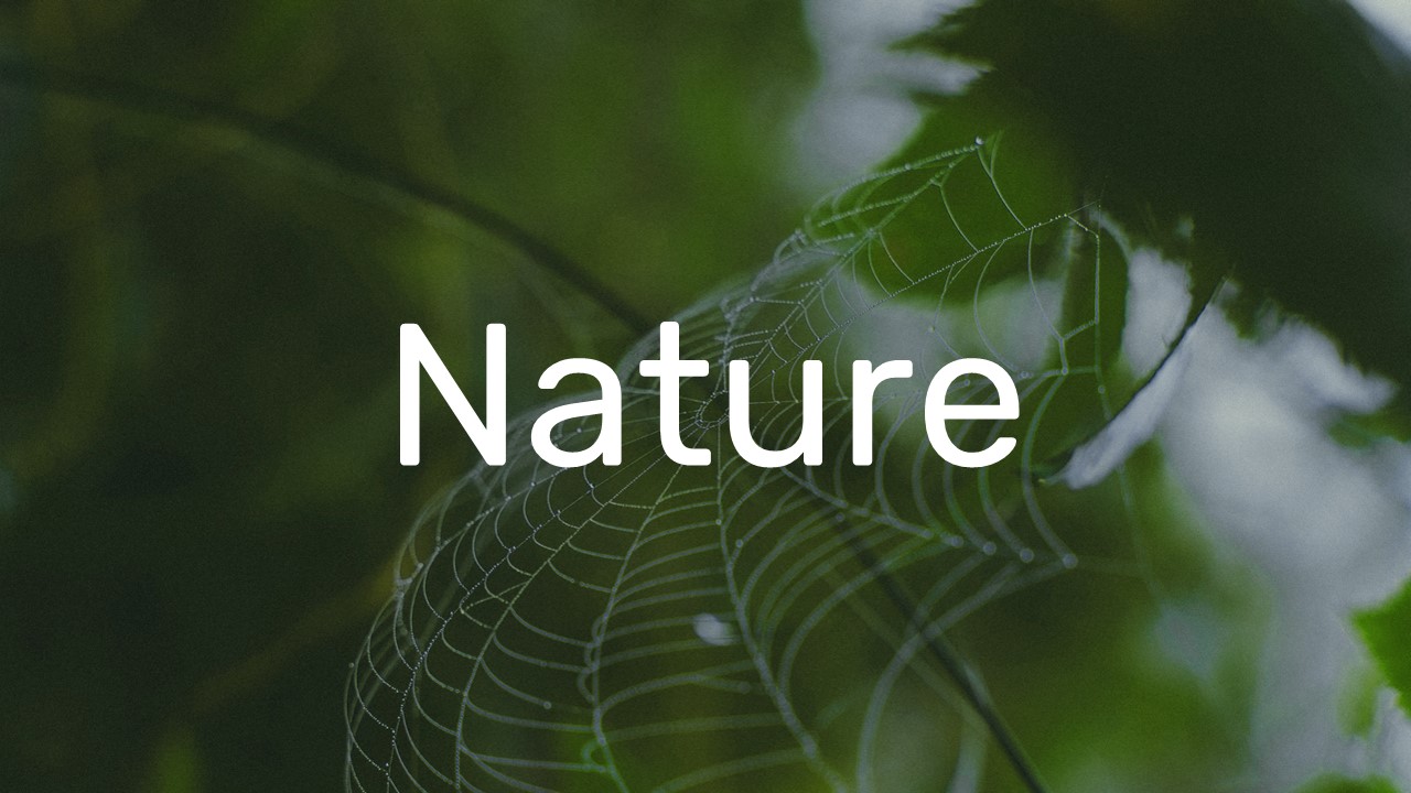 Nature Presentation Template SlideKit