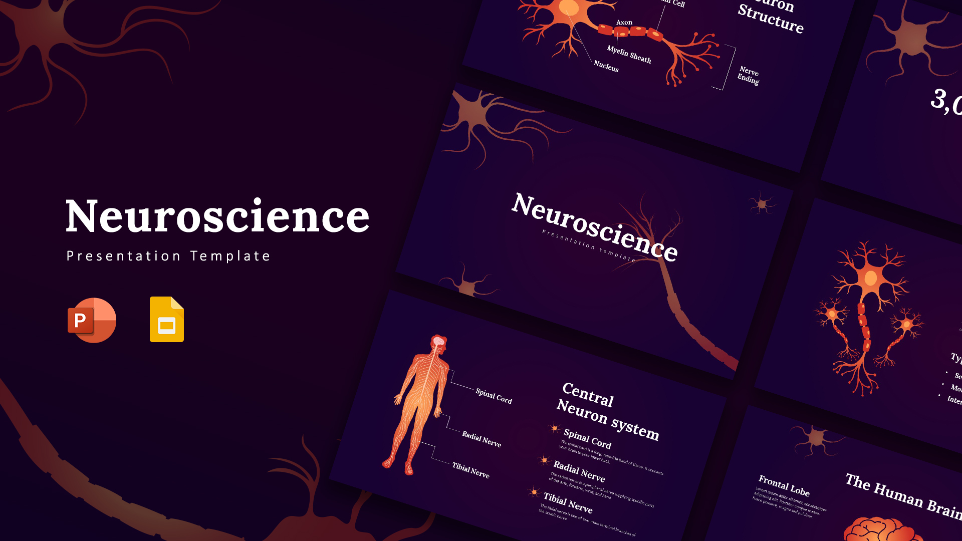 Neuroscience Powerpoint Template