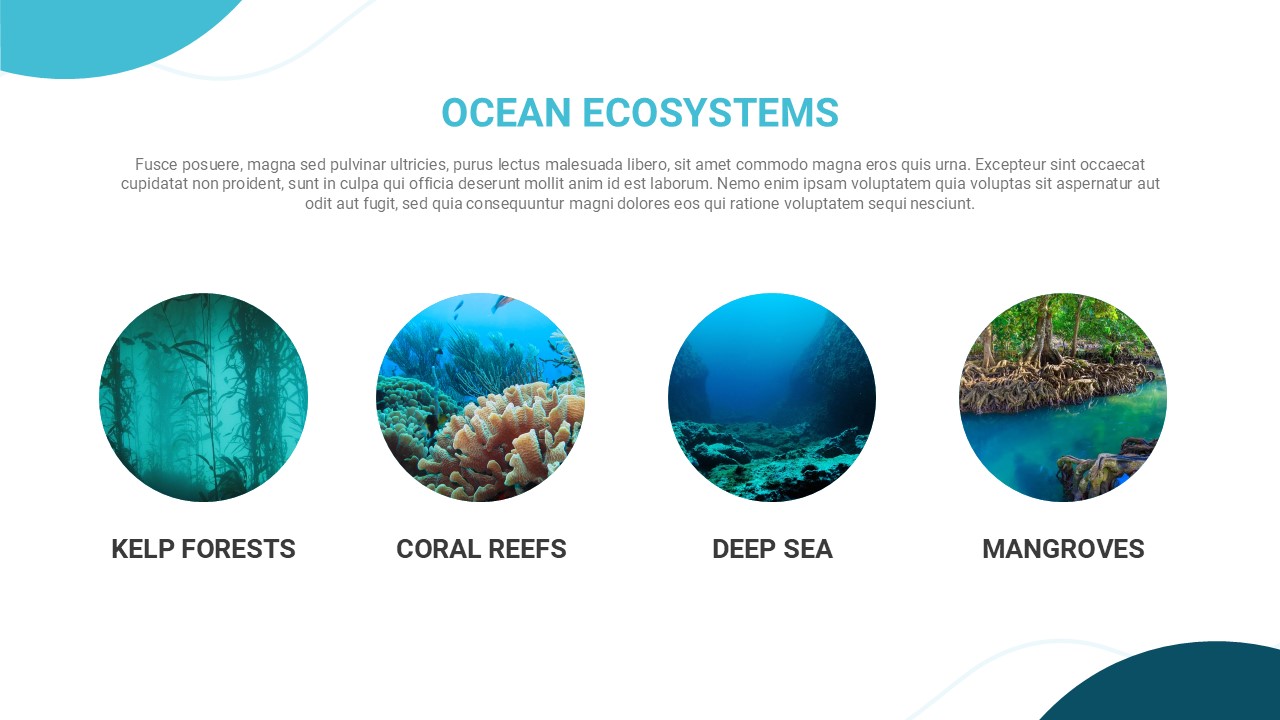 Ocean Ecosystems Slide for Ocean PowerPoint And Google Slides Template ...